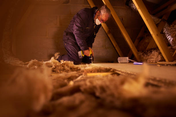 Best Crawl Space Insulation  in Sun City Center, FL